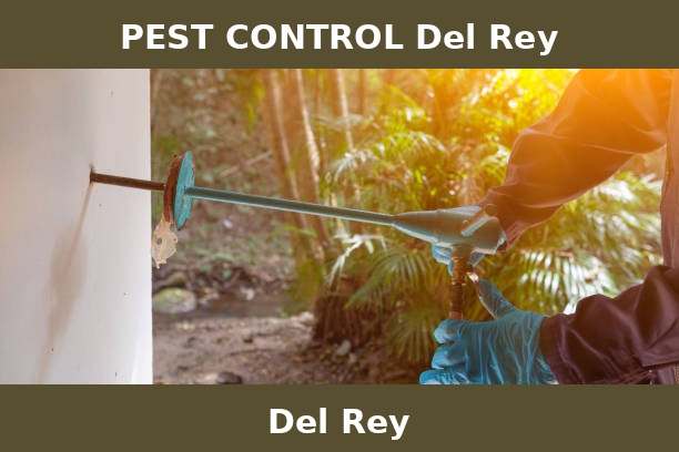 PEST CONTROL Del Rey